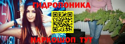 прущие грибы Волгодонск