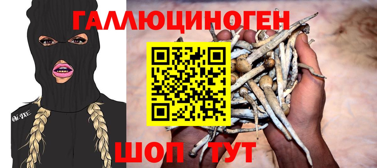Псилоцибиновые грибы MAGIC MUSHROOMS  Галлюциногенные грибы прущие грибы  Вход с VPN  где купить наркоту  Якутск 